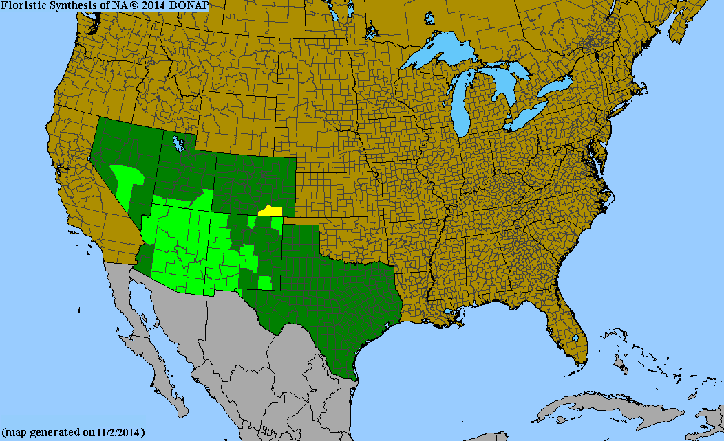 County distribution map of Heliomeris longifolia var. annua - Long-Leaf False Goldeneye